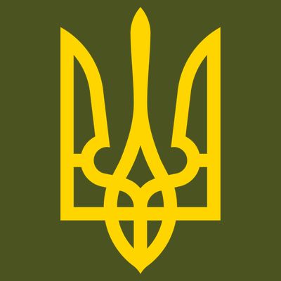 Zelensky Tryzub Green Long Sleeve Military Ukraine Zelenskyy T-Shirt