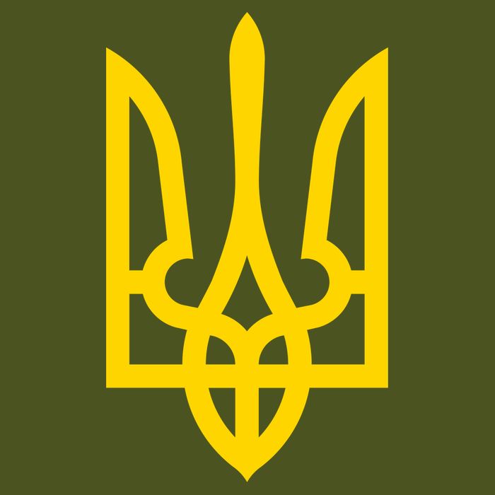 Zelensky Tryzub Green Long Sleeve Military Ukraine Zelenskyy T-Shirt