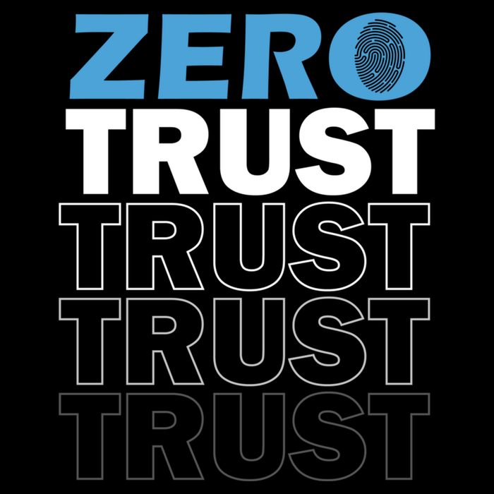 Zero Trust Hacking Cyber Security Programmer Developer Gift Wool Snapback Cap