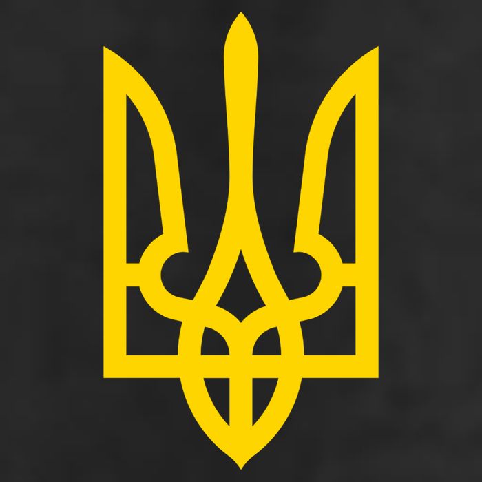 Zelensky Tryzub Military Ukraine Zelenskyy Hat