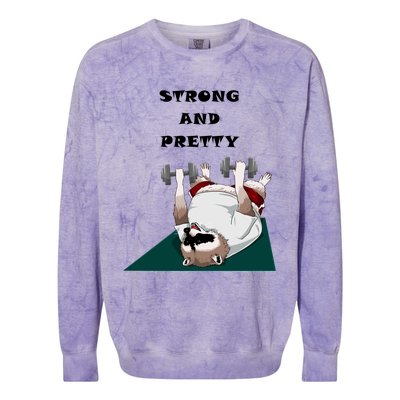 Ziggy The Racoon Gift Strong And Pretty Gift Colorblast Crewneck Sweatshirt