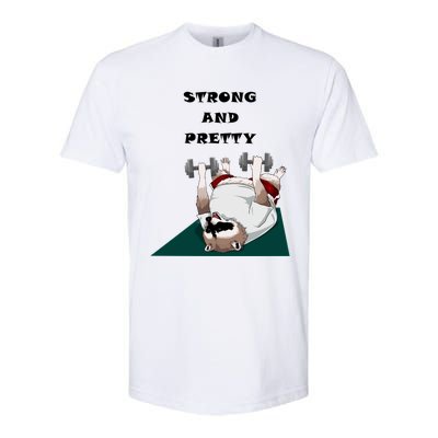 Ziggy The Racoon Gift Strong And Pretty Gift Softstyle CVC T-Shirt