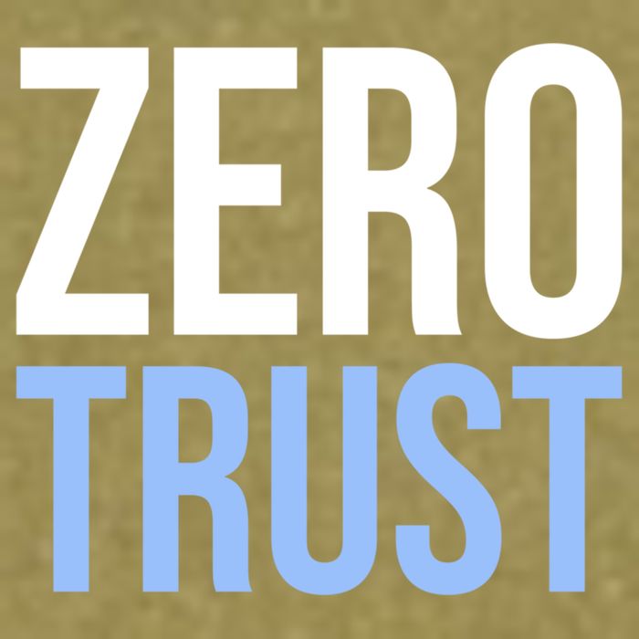 Zero Trust Security Cyber Security Hacking Developer Funny Garment-Dyed Women's Muscle Tee