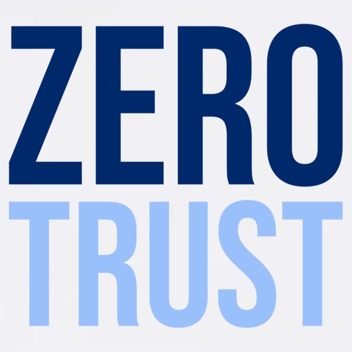 Zero Trust Security Cyber Security Hacking Developer Funny Garment-Dyed Sweatshirt