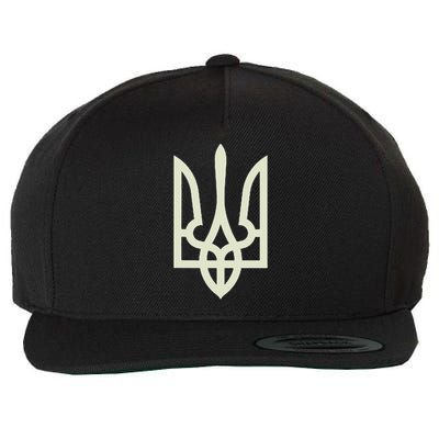 Zelenskyy Ukrainian Army Ukraine Military Ukraine Wool Snapback Cap