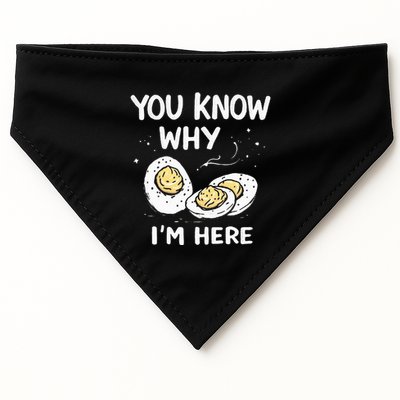 Zany You Know Why IM Here Deviled Eggs Funny Thanksgiving USA-Made Doggie Bandana