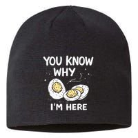 Zany You Know Why IM Here Deviled Eggs Funny Thanksgiving Sustainable Beanie