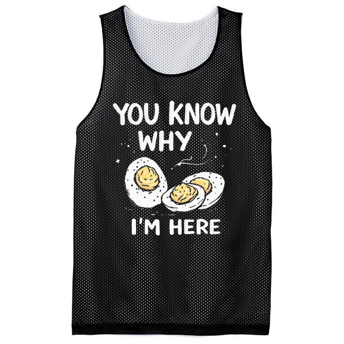 Zany You Know Why IM Here Deviled Eggs Funny Thanksgiving Mesh Reversible Basketball Jersey Tank