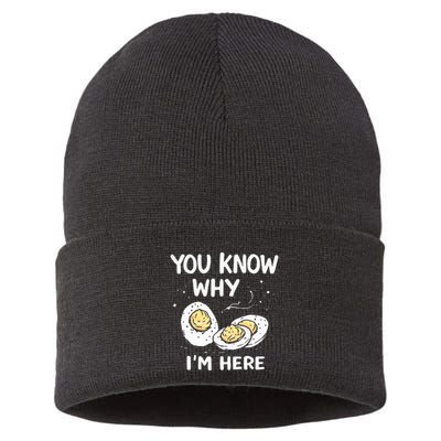 Zany You Know Why IM Here Deviled Eggs Funny Thanksgiving Sustainable Knit Beanie