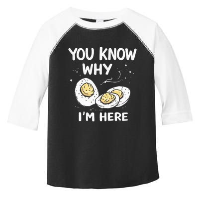 Zany You Know Why IM Here Deviled Eggs Funny Thanksgiving Toddler Fine Jersey T-Shirt