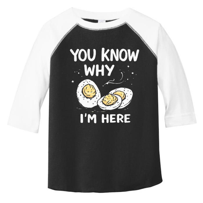Zany You Know Why IM Here Deviled Eggs Funny Thanksgiving Toddler Fine Jersey T-Shirt