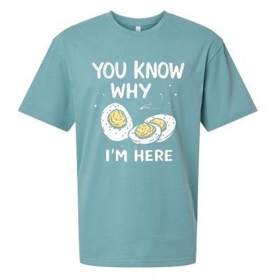 Zany You Know Why IM Here Deviled Eggs Funny Thanksgiving Sueded Cloud Jersey T-Shirt