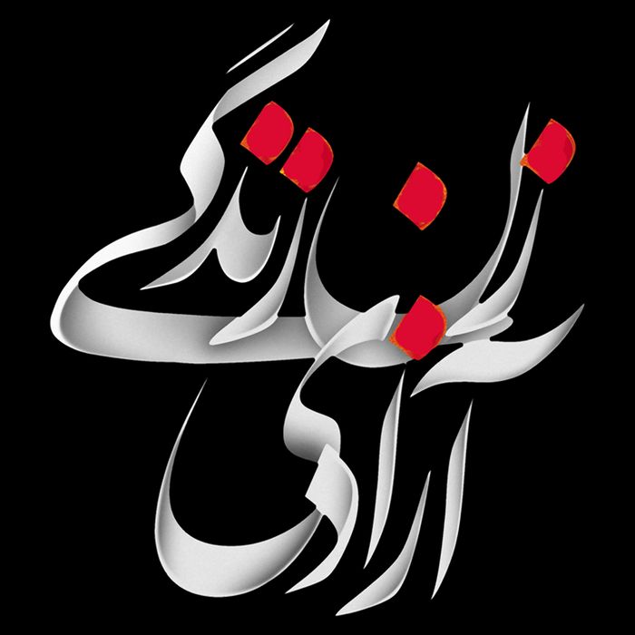 Zan Zendegi Azadi T-Shirt