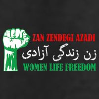 Zan Zendegi Azadi Persian Woman Life Freedom Adult Drive Performance Visor