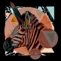Zebracorn Visor